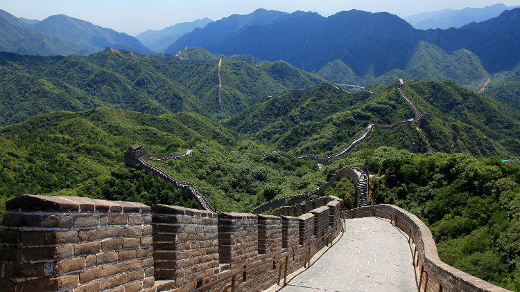 âBadalingâçå¾çæç´¢ç»æ